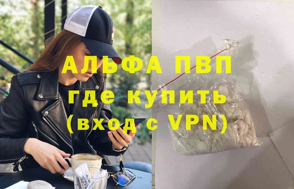 a pvp Коряжма